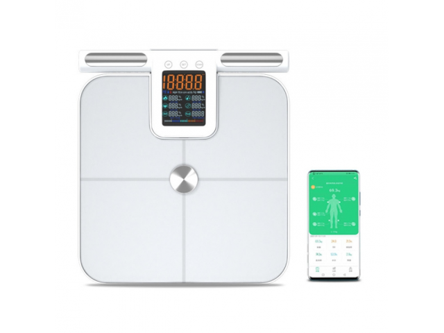 VT-G48 Body Fat Scale